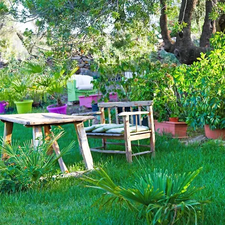 Locazione Turistica Stazzu Fioritu - Teo240 * San Teodoro (Sardinia)